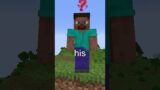 The Secret Lore Of Steve In Minecraft…