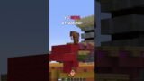 Types of Games in Minecraft