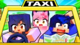 Just a NORMAL Minecraft TAXI…
