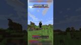 Minecraft, But Biomes Have Random Effects…