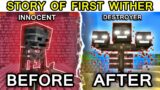 Minecraft Story Of The First Wither in Hindi