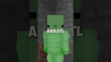 axolotl vs the minecraft warden
