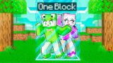 Minecraft But We're LOCKED In ONE BLOCK!