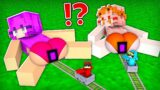 Cash and Nico FOUND a SECRET PORTAL inside Zoey and Mia – Funny Story in Minecraft