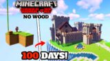 I Survived 100 Days on Skyblock Without Wood in Minecraft hardcore