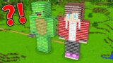 Mikey and JJ BLEW UP Their STATUES in Minecraft (Maizen)
