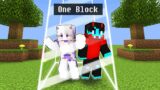 Minecraft But We're LOCKED in ONE BLOCK!