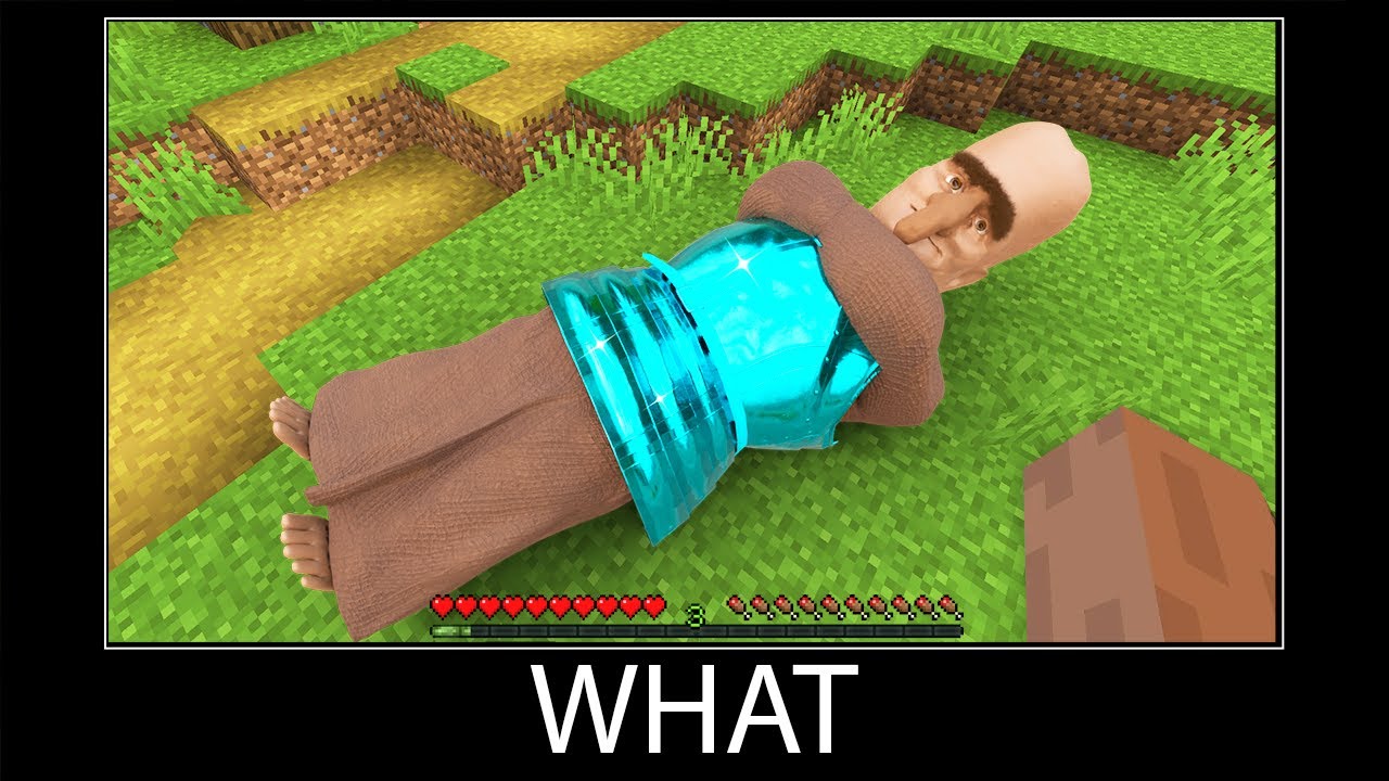 Minecraft Wait What Meme Part 269 Realistic Minecraft Villager And Diamond Armor Minecraft Videos 