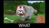 Minecraft wait what meme part 86 realistic minecraft Dog wool