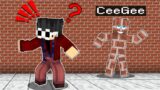 Using CAMOUFLAGE To Cheat in Minecraft Hide & Seek! (Tagalog)