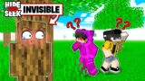 Using INVISIBLE CLOAK To CHEAT In Minecraft Hide & Seek!