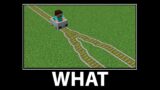 WAIT WHAT – Minecraft #2