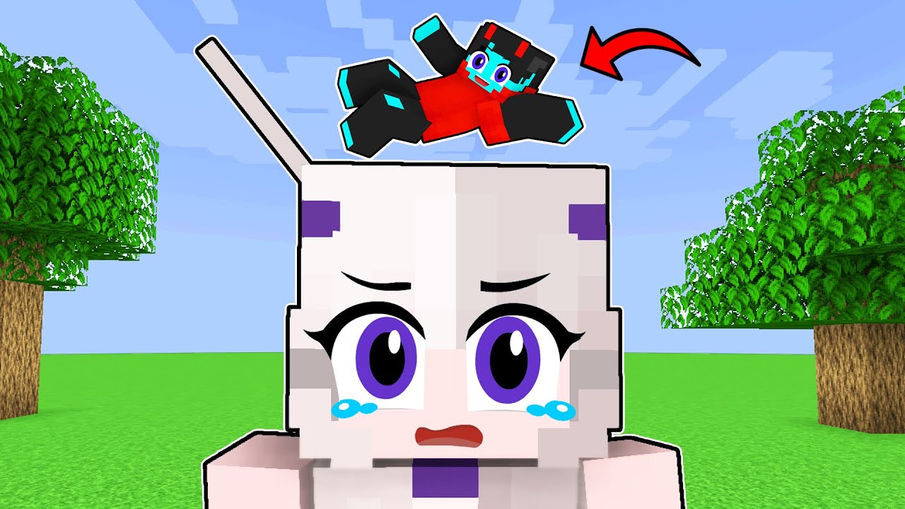 What’s Inside SHEYYYN's Head in Minecraft? Minecraft videos