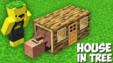 Why did THIS VILLAGER BUILD A HOUSE IN A TREE in Minecraft ? NEW SECRET HOUSE !