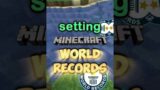 i broke another minecraft world record…