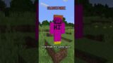 the most controversial topic in minecraft