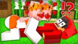 Fan Mia is in LOVE with Cash – Funny Story in Minecraft