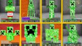 Minecraft ALL MOBS BECAME CREEPER !!! What Mob is the best? MONSTER SCHOOL Battle