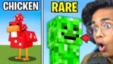 Secret Minecraft Things You Didn't Know!