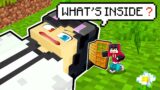 What's Inside RAIZU'S Head in Minecraft