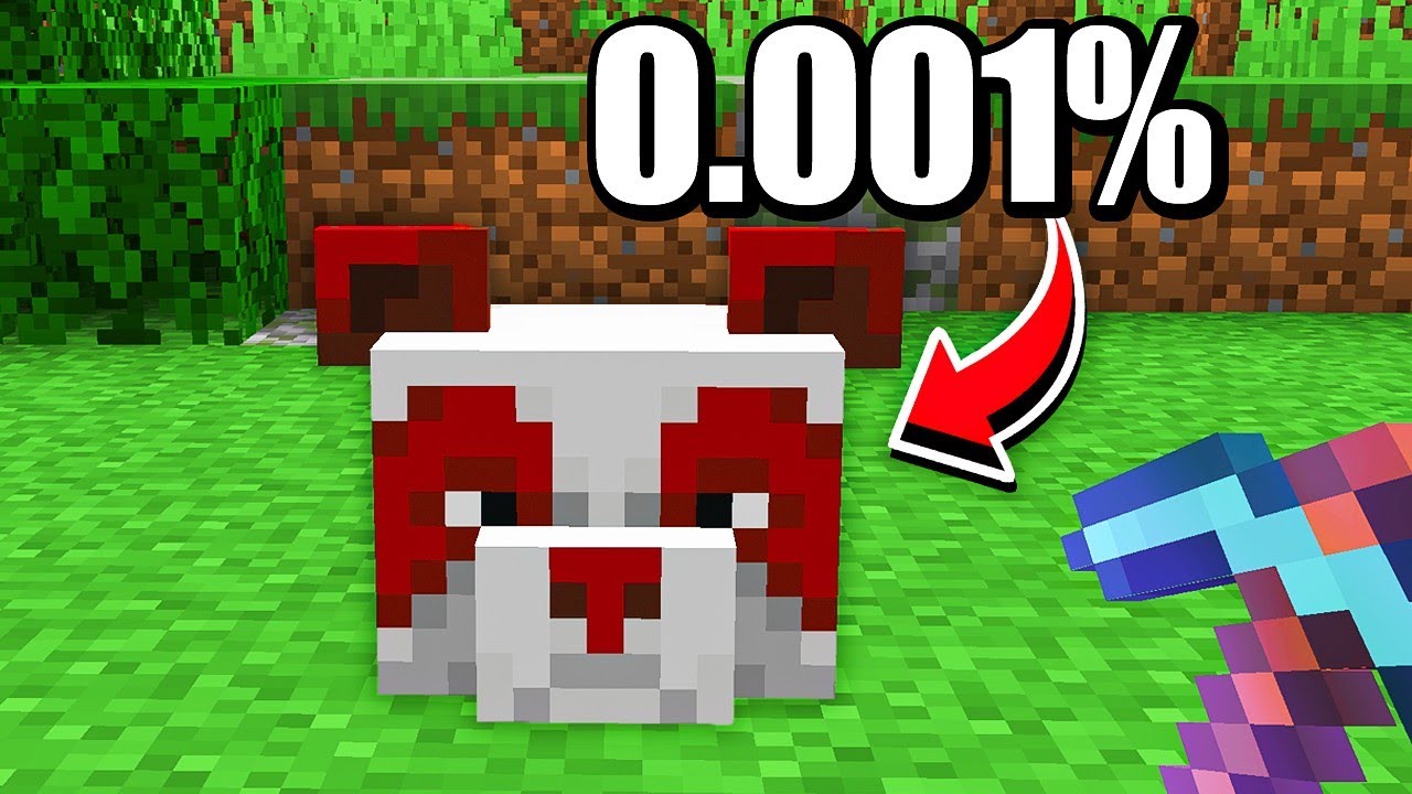 I Collected Every Rarest Item In Minecraft Hardcore Minecraft Videos I Collected Every Rarest Item In Minecraft Hardcore Minecraft Videos