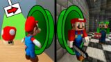 Mario in the Minecraft World