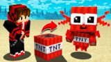 Minecraft, But  Every TNT Is A MOB !!!