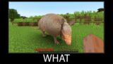 Minecraft wait what meme part 290 realistic minecraft armadillo