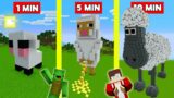 SHEEP HOUSE BUILD BATTLE CHALLENGE In Minecraft – NOOB VS PRO – Maizen Mizen Mazien Parody