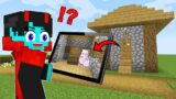 Using Cameras To Cheat in Minecraft Hide And Seek!