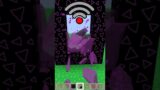 nether portal with different Wi-Fi in minecraft