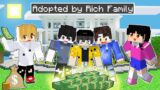 Adopted by A BILLIONAIRE Family in MINECRAFT!