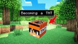 Becoming a TNT in Minecraft PE