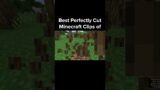Best Perfectly Cut Minecraft Clips of 2023