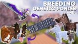 Breeding genetic horses and showing off some new mods! Minecraft