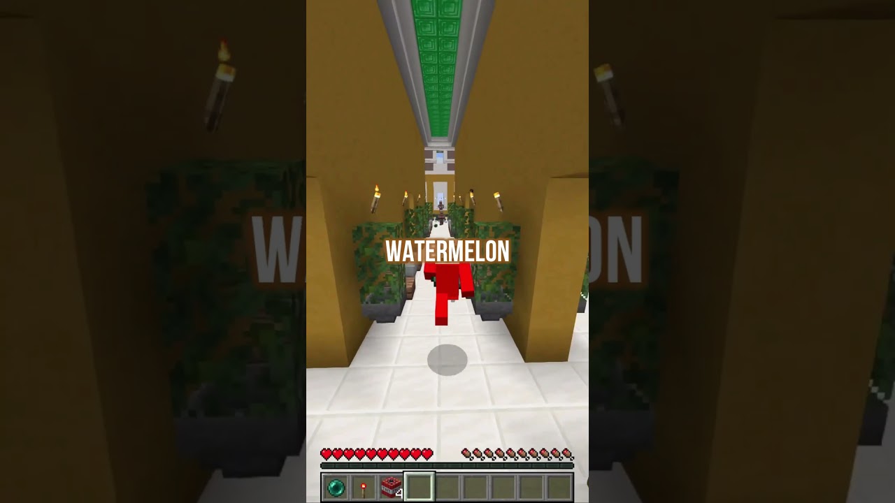 Smartest Minecraft Player 69420 Infinite Iq Minecraft Videos