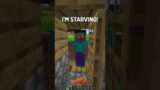 Day in the Life of a Minecraft Pro