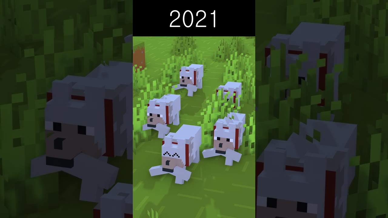 Evolution of Skeleton & Dogs Minecraft Animation Minecraft videos