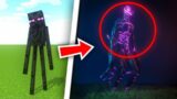 Minecraft Mobs That CAUGHT On CAMERA!