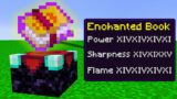 Why I Stole Minecraft's MOST POWERFUL ENCHANT…