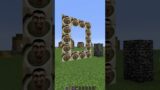 unreal cool portals in minecraft that lead to… #minecraft #meme #memes #shorts #tiktok #gaming