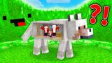 MIKEY TSUNAMI vs. JJ Family Doomsday Bunker in DOG in Minecraft (Maizen)