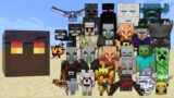 Magma Cube vs Every mob in Minecraft – Minecraft mob battle – Big Magma Cube vs All Mobs