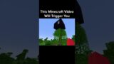 Minecraft Normal Video