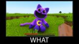 Minecraft wait what meme part 322 realistic minecraft CatNap Poppy Playtime