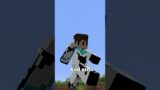 Most Rare Armour in Minecraft…