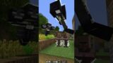 POV: you can stop the time in Minecraft Village (INSANE) #shorts #meme #memes