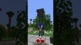 POV: you have a ping 5891 in Minecraft laggy #shorts #meme #memes