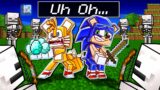 Sonic & Tails' LIFE in Minecraft – Sonic Minecraft Stories