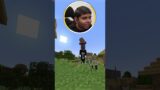 Testing Minecraft TikTok Viral Hacks!!